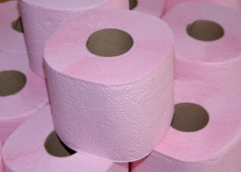 Papier toilette disparu covid 19