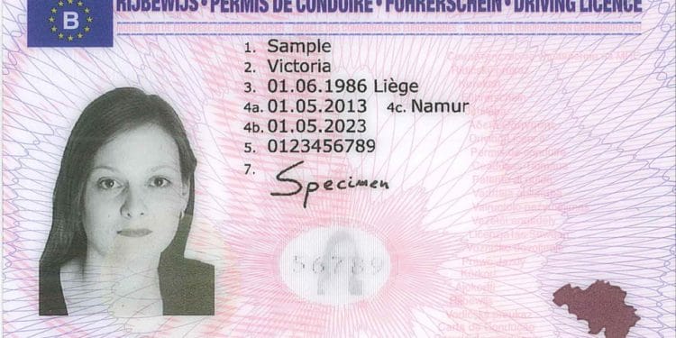 permis de conduire belgique