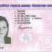 permis de conduire belgique